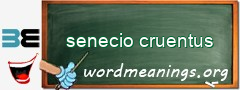 WordMeaning blackboard for senecio cruentus